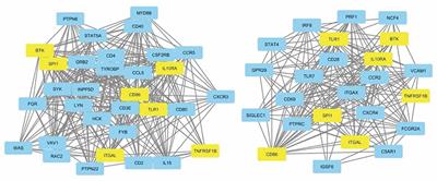 Gene Co-expression Networks Identifies Common Hub Genes Between Cutaneous Sarcoidosis and Discoid Lupus Erythematosus